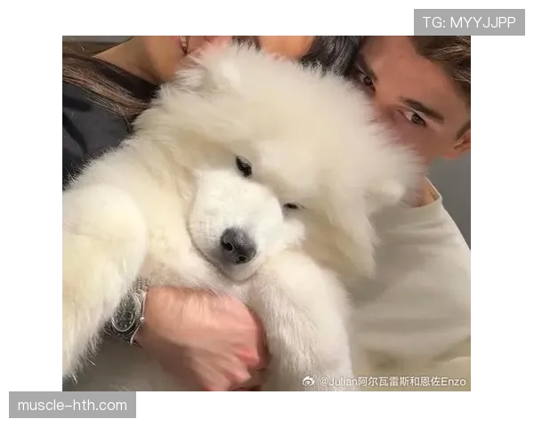 阿尔瓦雷斯家的狗吃的都比我一个月工资高